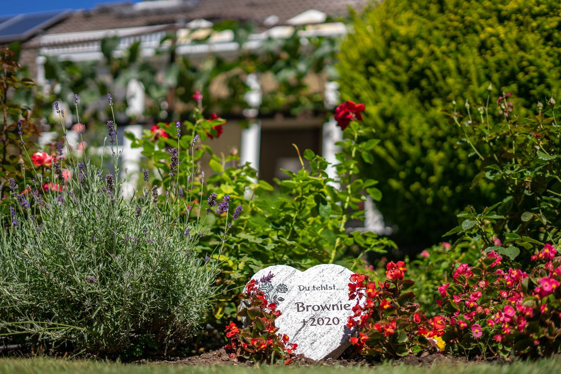 Tierbestattung im eigenen Garten – Das ist zu beachten