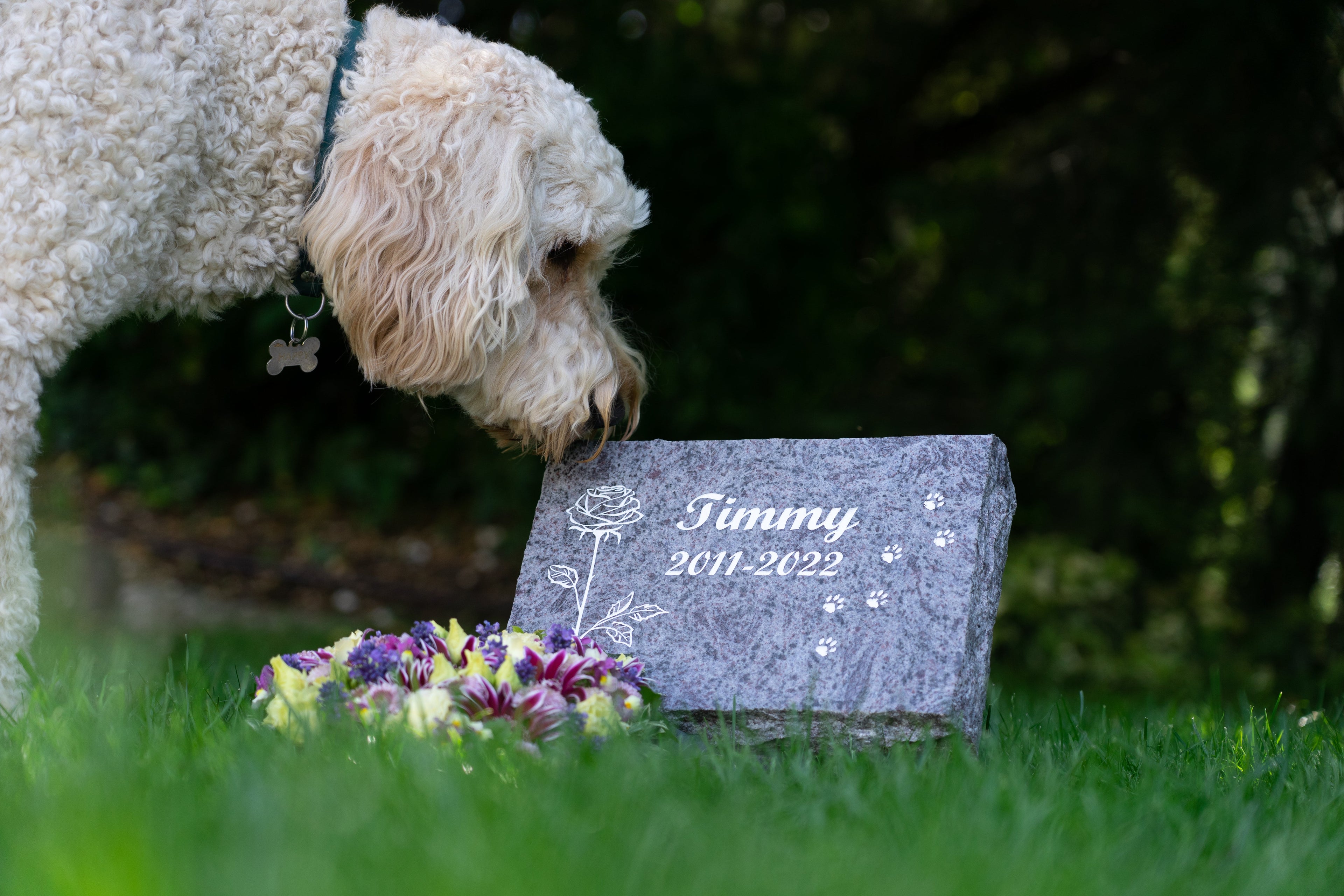 Tiergrabsteine für Hunde