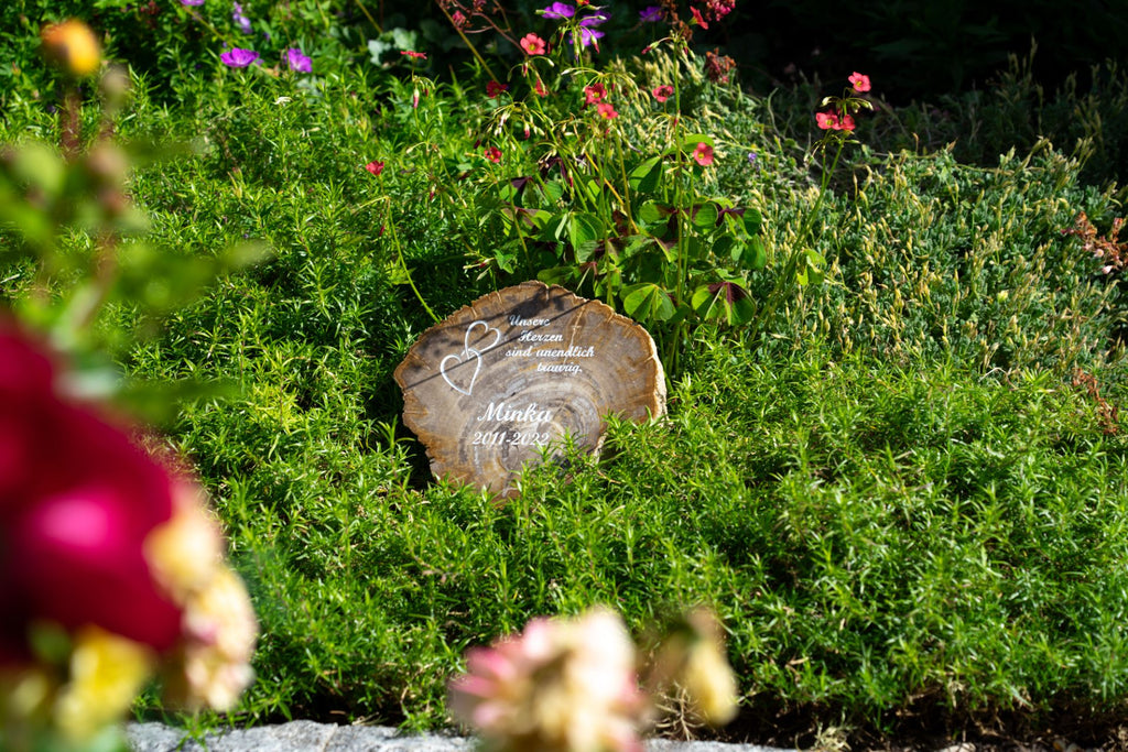Tiergrabstein aus steinernem Holz