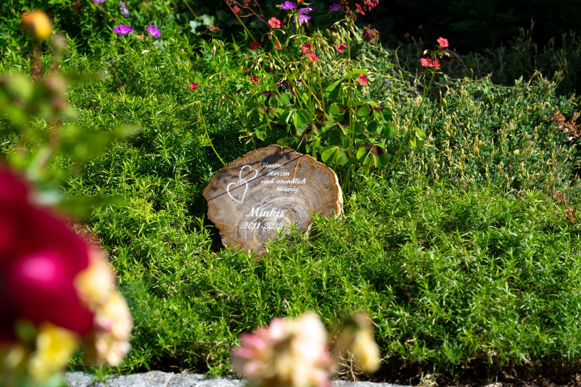 Tiergrabstein aus steinernem Holz