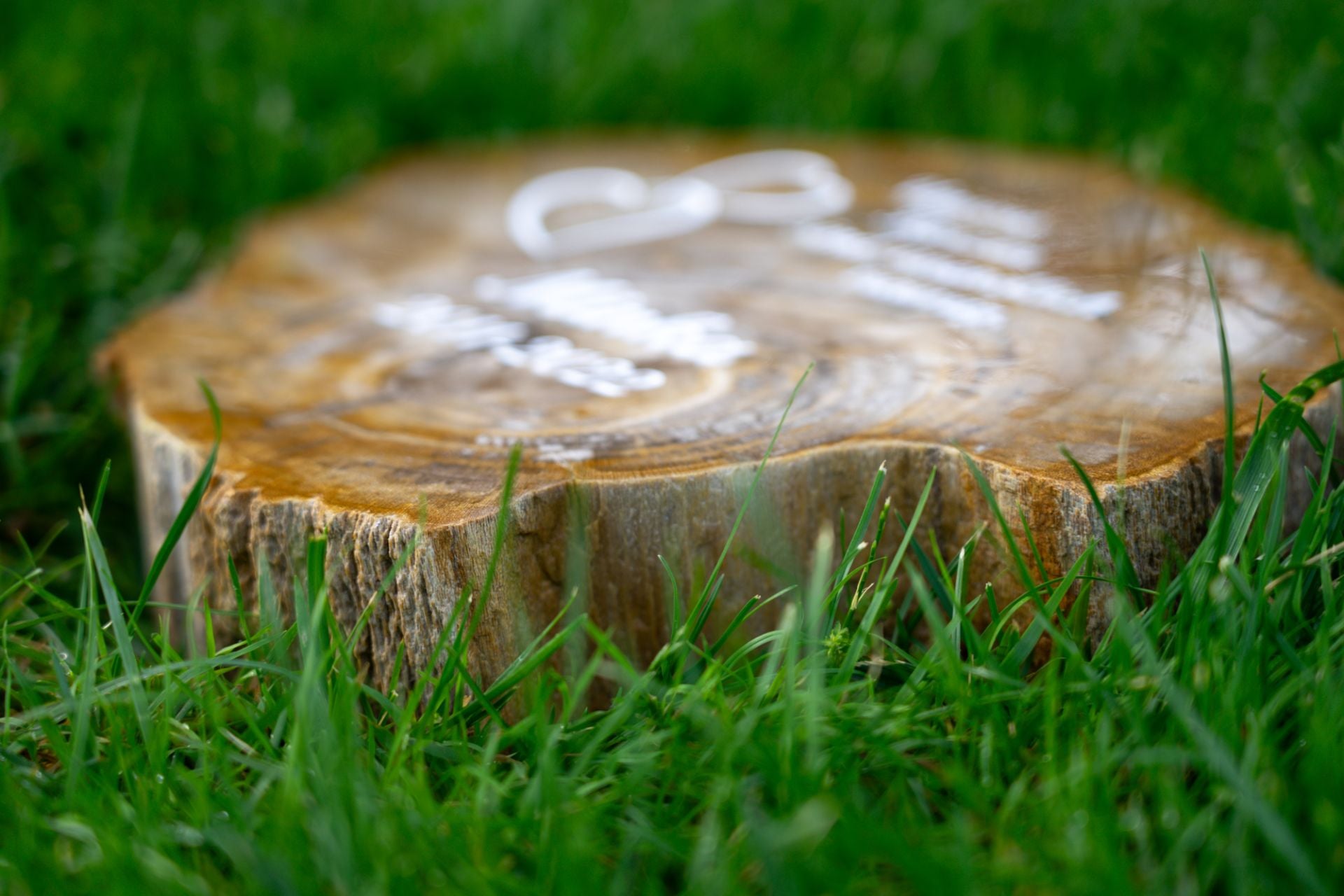 Tiergrabstein aus steinernem Holz